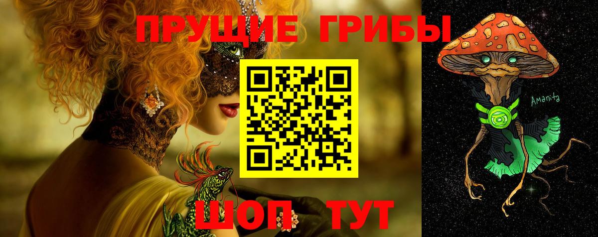 Псилоцибиновые грибы Psilocybine cubensis  Вход с VPN  Родники 